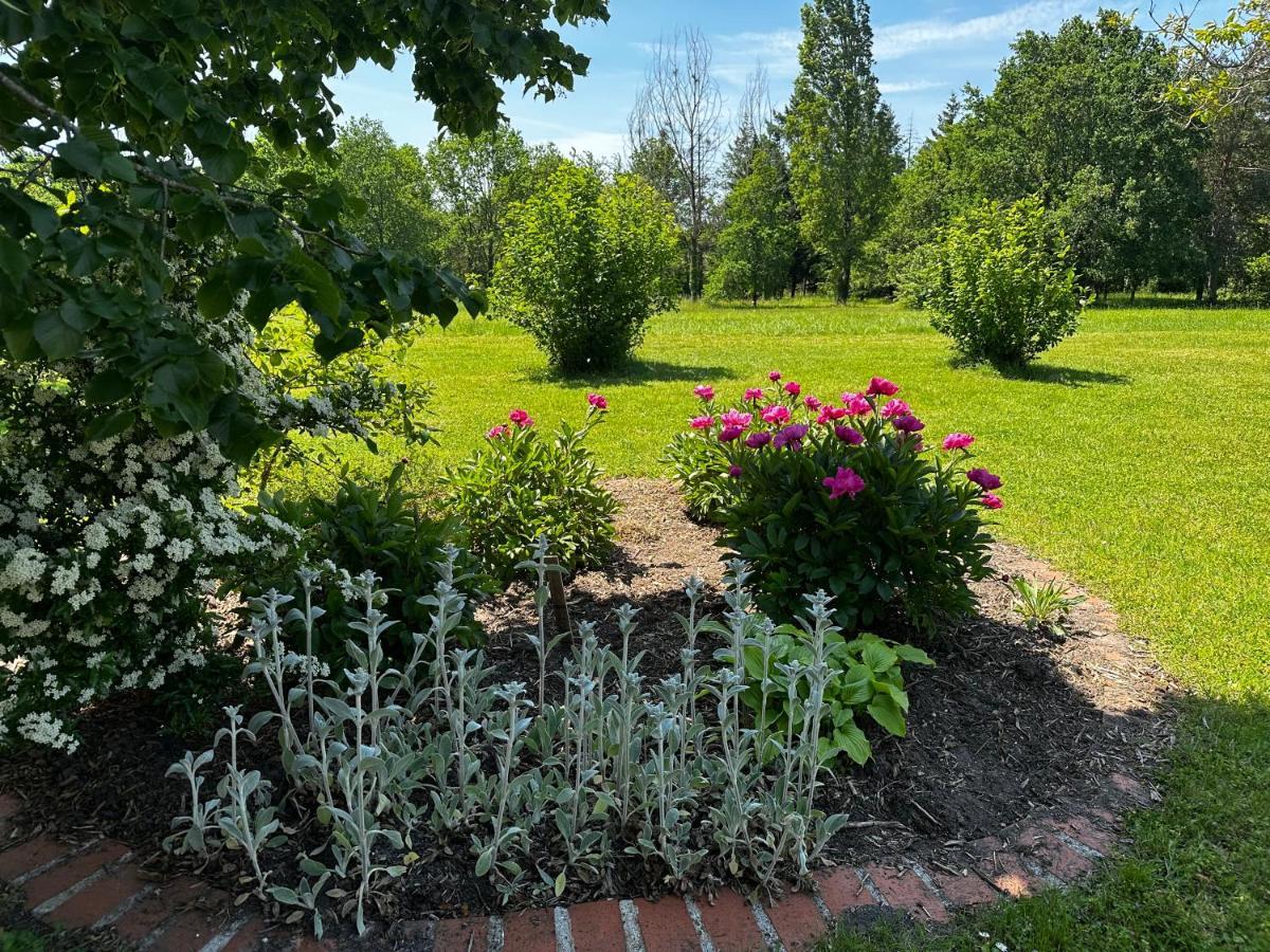 ホテル Domaine De Couilleuse Saint-Laurent-Nouan エクステリア 写真